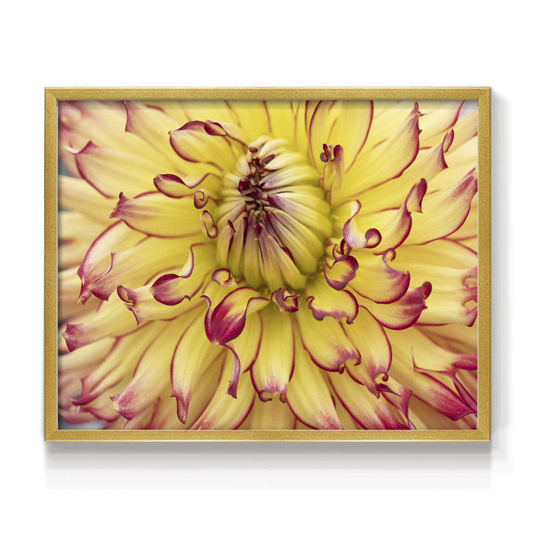 Blooms II -Framed Print - Restickable, 16" H x 20" W