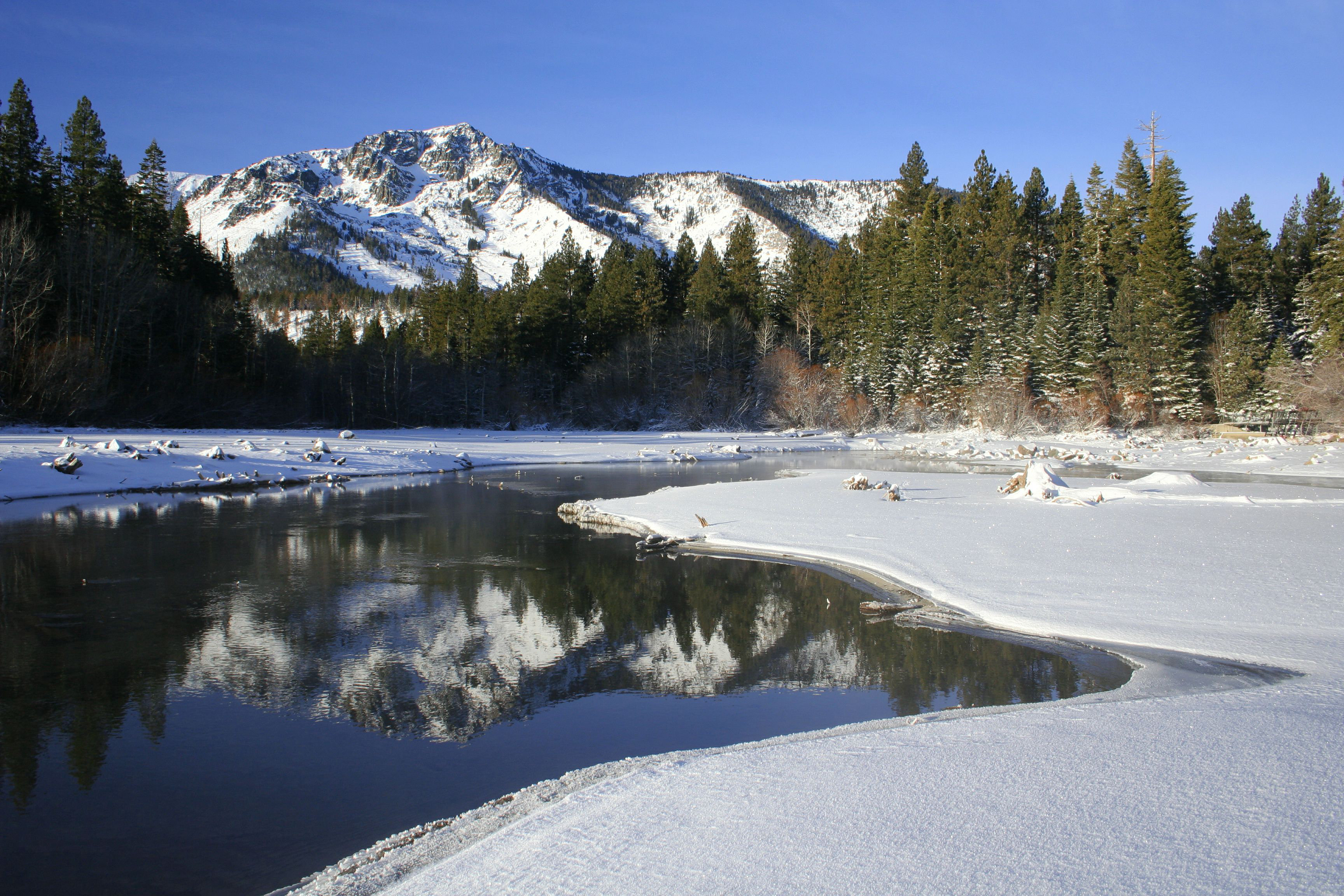 Millwood Pines Winter Landscape - Wrapped Canvas Photograph | Wayfair