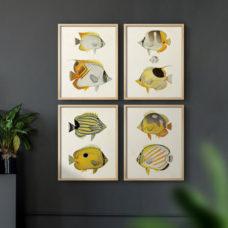 «Yellow and Gray Fish I», ensemble de 4 encadrées, Naturel, H 10 po x l 32 po