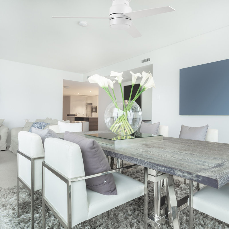 Ventilateur de plafond intelligent Raiden avec ensemble d'éclairage DEL et contrôle mural, fonctionne avec l'assistant Google, Amazon Alexa et les raccourcis Siri.