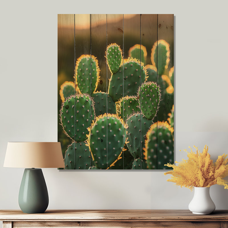 Cactus dans la lumière du matin II - Décoration murale en bois de cactus floral - sur bois de pin naturel