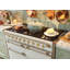 Elise 48" 6 Cubic Feet Dual Fuel Freestanding Convection Range-1119707127