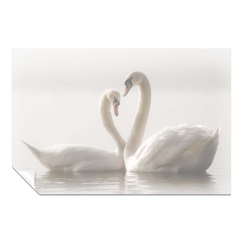 Swans Couples - Wrapped Canvas Print, 41cm H x 61cm W