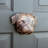 Pug Door Knocker