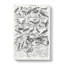 Ornithology Study Of Birds LXXIL by Oliver Goldsmith - Wrapped Canvas-55308030