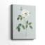 Rose Beauty I - Galas enveloppés de galerie-108843639