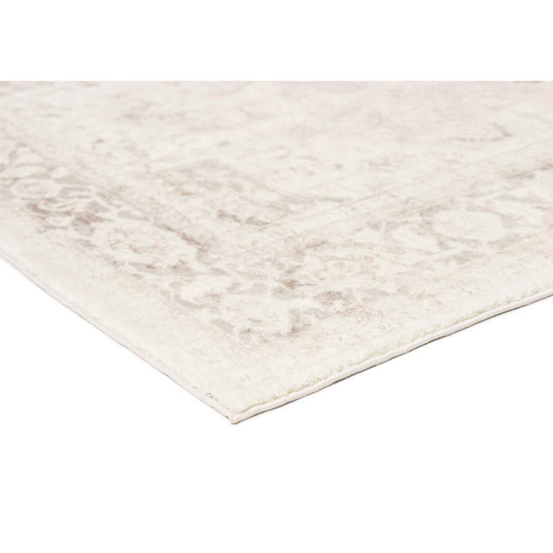 Jiaying Washable Oriental Indoor Rug, Rectangle 8' x 10'