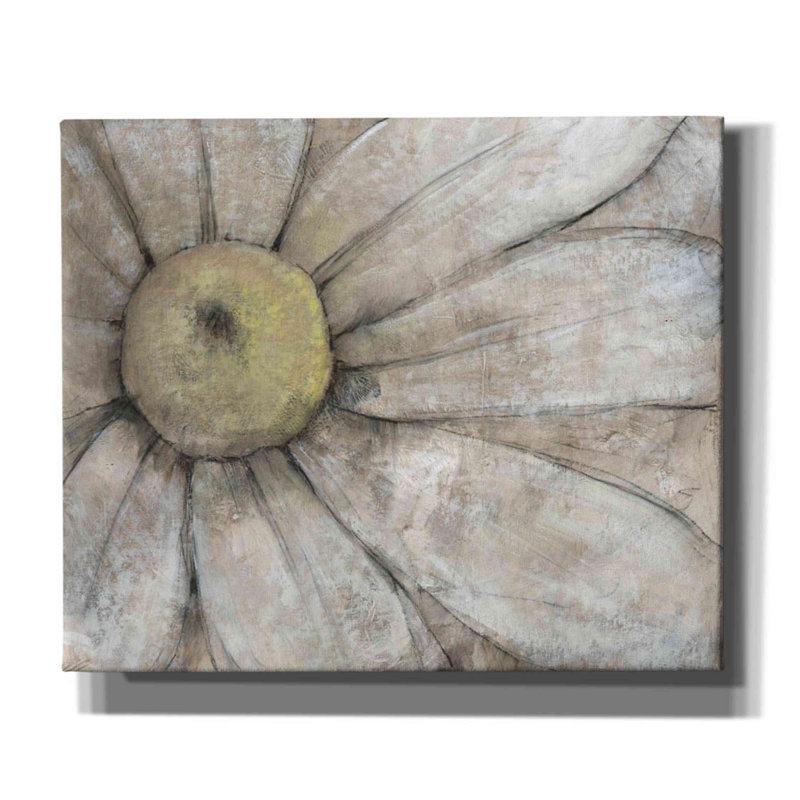 «Close-Up Daisy I» par Tim O'toole, art mural sur toile, H 20 po x l 24 po x P 0,75 po