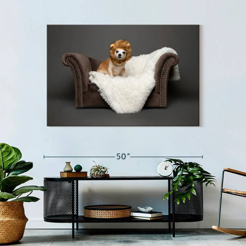 Ketti Funny Chihuahua Lion