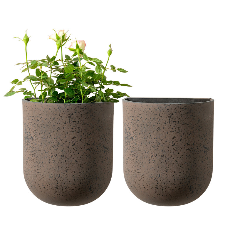 Elayna Venus 2 - Piece Plastic Wall Planter Set, Iron