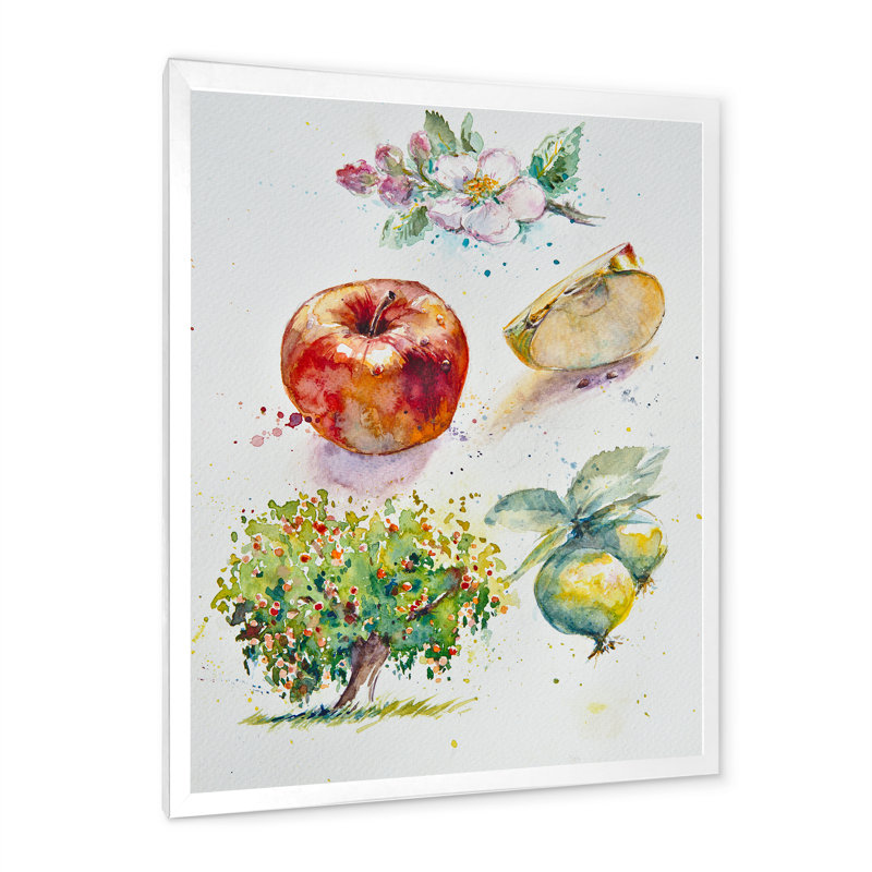 «Set of Apple Botanist», reproduction d'art sur toile encadrée, Cadre photo blanc, H 36 po x l 24 po x P 1 po