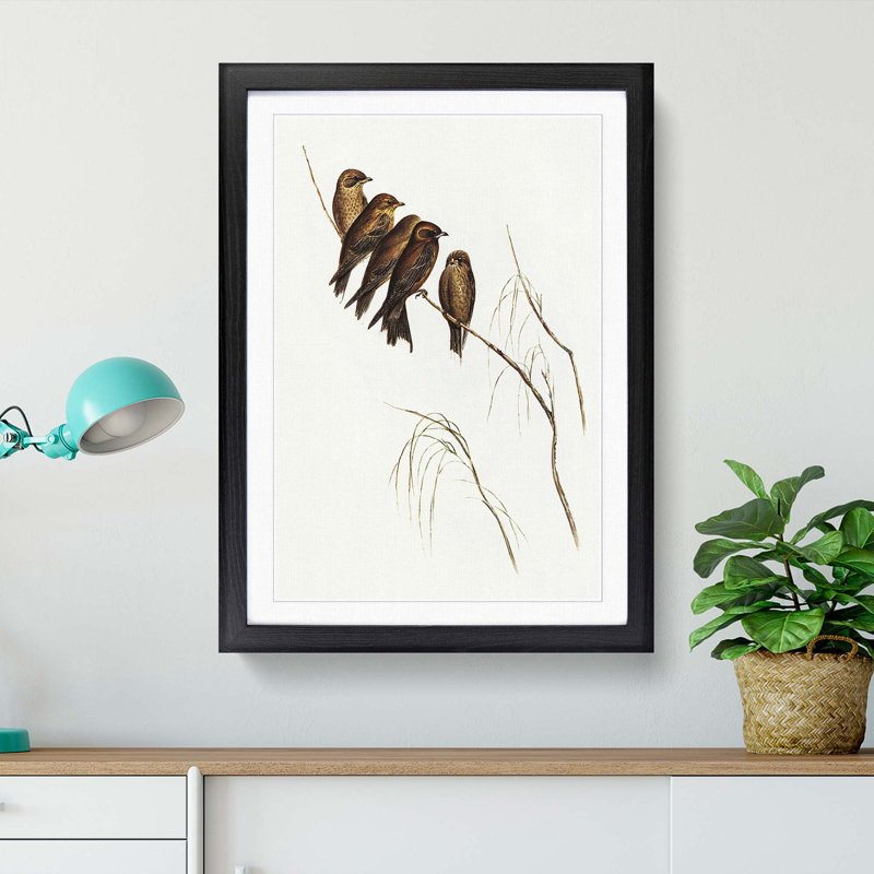 Little Woodswallows by Elizabeth Gould - Picture Frame Painting Print, Black Framed, 65cm H x 48cm W x 2cm D