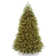 National Tree Company Dunhill Fir Tree with Dual Color LED Lights and PowerConnect