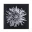 Black And White Flower Epoxy A Print
