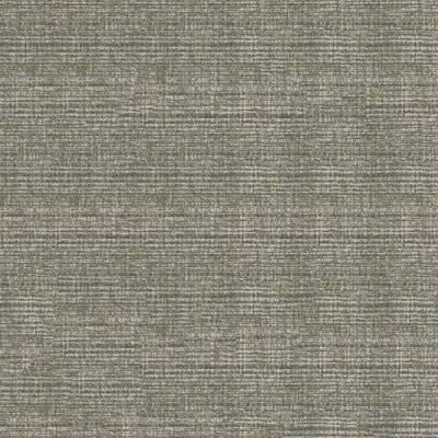Tissu Abbeyshea Endurepel Thomas Chenille par The Yard