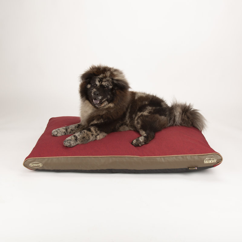 Hilton Orthopedic Polyester Pet Bed, Red/Saddle Brown, 6cm H x 100cm W x 70cm D