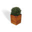 Boîte à fleurs en bois Campton-1529495978-1529495987