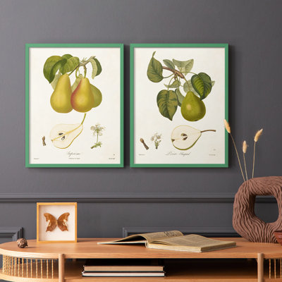 Reproduction encadrée Vintage Pears V-Premium - prête à être accrochée - aucun clou requis - aucun clou requis