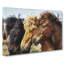 A Trio of Horses - Wrapped Canvas-55367971