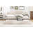 Modern Clari Upholstered Tufted Daybed With Trundle