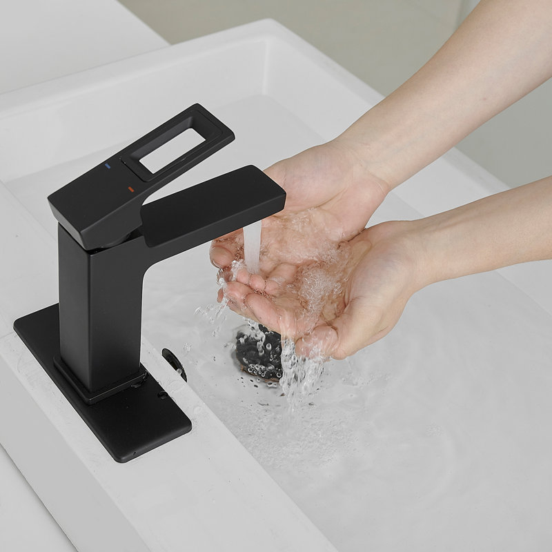 Matte Black Single-Handle Bathroom Faucet with Drain Assembly