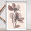Crimson Coastline I Shadowbox Abstract Print by Oliver Gal, Black Frame, 10 x 15-1901231212-1901231249