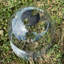 Plastic Plant Protection Bell Cloche Covers With Ground Pegs (pack Of 10)