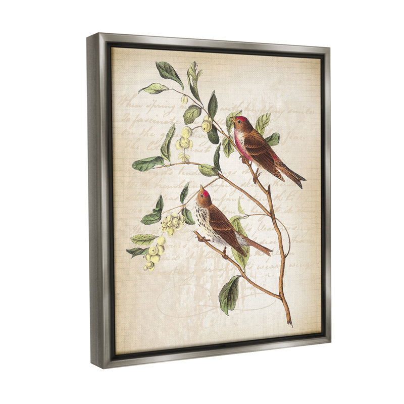 "Birds With Vintage Cursive" par Lula Bijoux & Co. sur toile, Cadre flottant gris lustré, H 21 po x l 17 po