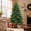 Christmas Tree-474265141
