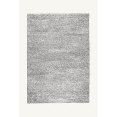 Loistine Machine Woven Grey Rug