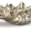 Med Clam Shell w/ Silver Shells