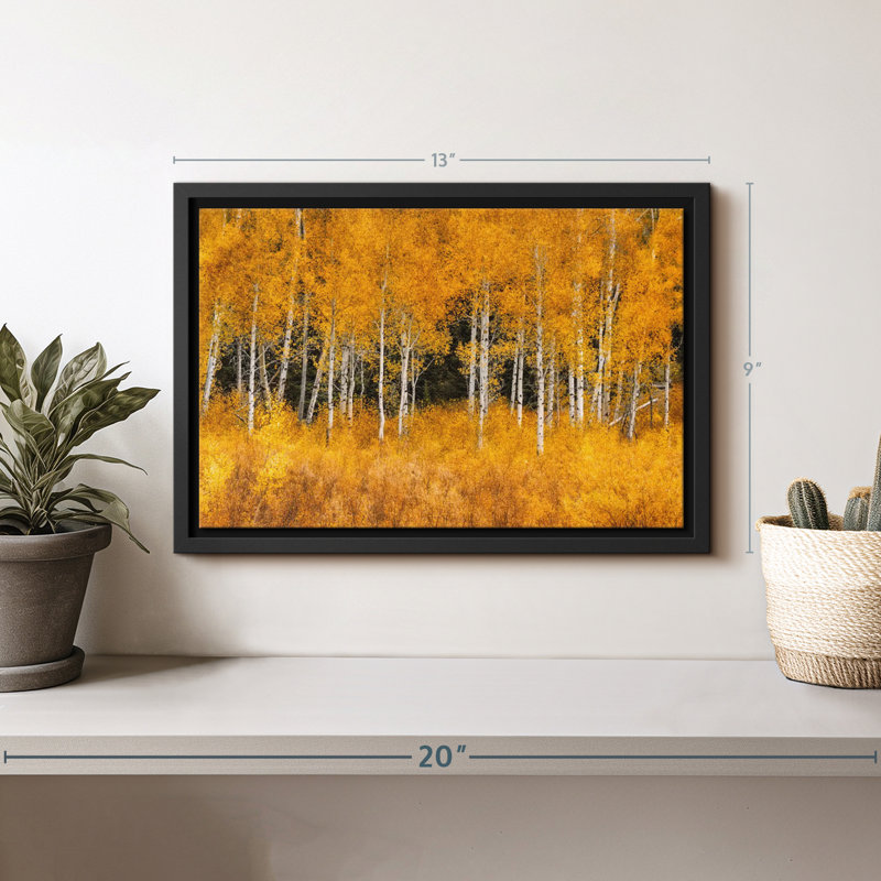 Impression sur toile Grand Teton Aspen Trees, H 9 po x l 13 po