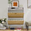 16 Pair Shoe Storage Cabinet