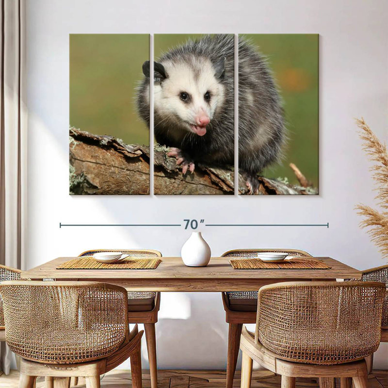 Brampt Angry Opossum, 42" H x 65" W