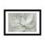 Transparent Transparent III - Sauge-530773756-530773754