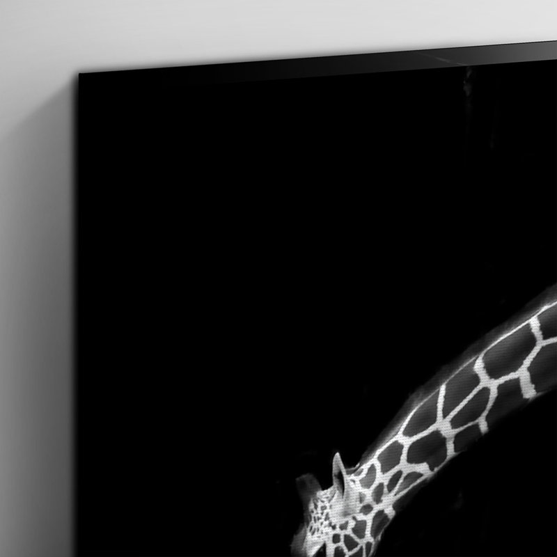 Black and White Photographic - Wrapped Canvas, 50cm H x 76cm W