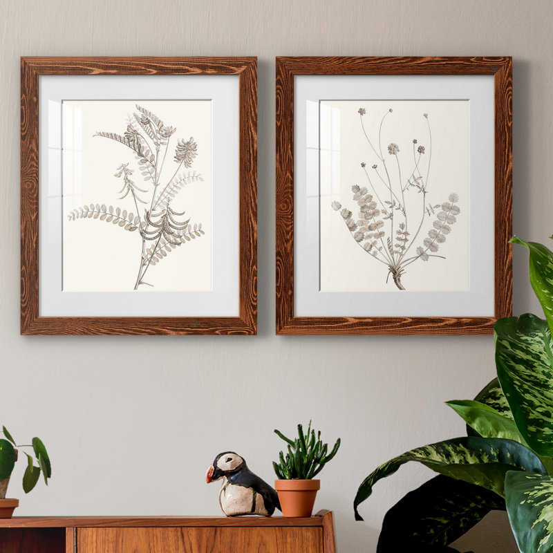 «Neutral Botanical Study VIIP», reproduction d'art encadrée - prête à être accrochée, Papier avec cadre érable, Blanc