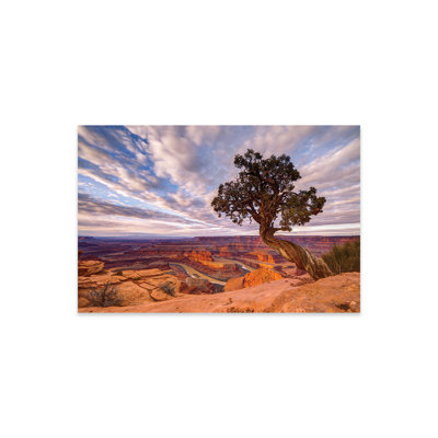 «Dead Horse Point» par Dustin LeFevre