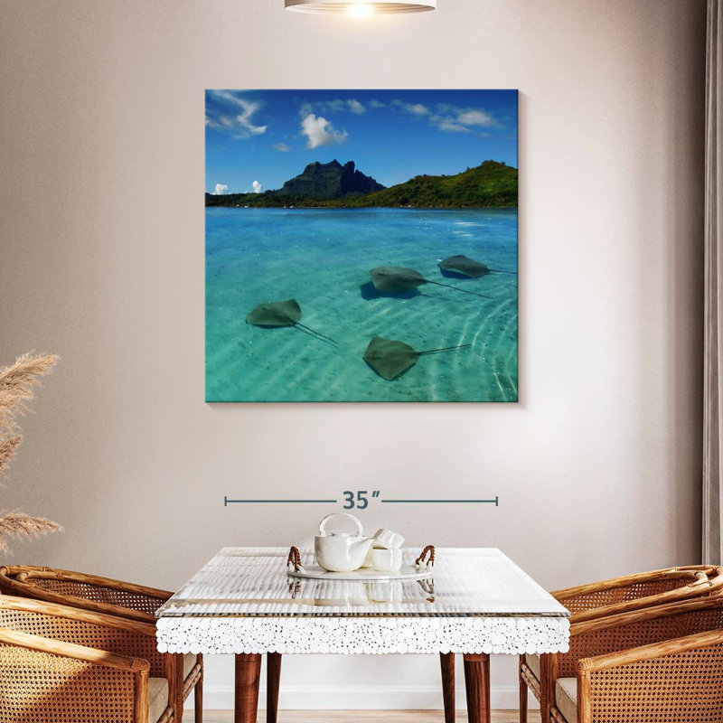 Brampt Bora Bora Stingrays, 39" H x 39" W
