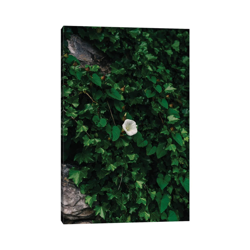 Amalfi Coast Blooms IV by Bethany Young - Print on Canvas, 66.04cm H x 45.72cm W x 1.91cm D, Wrapped Canvas