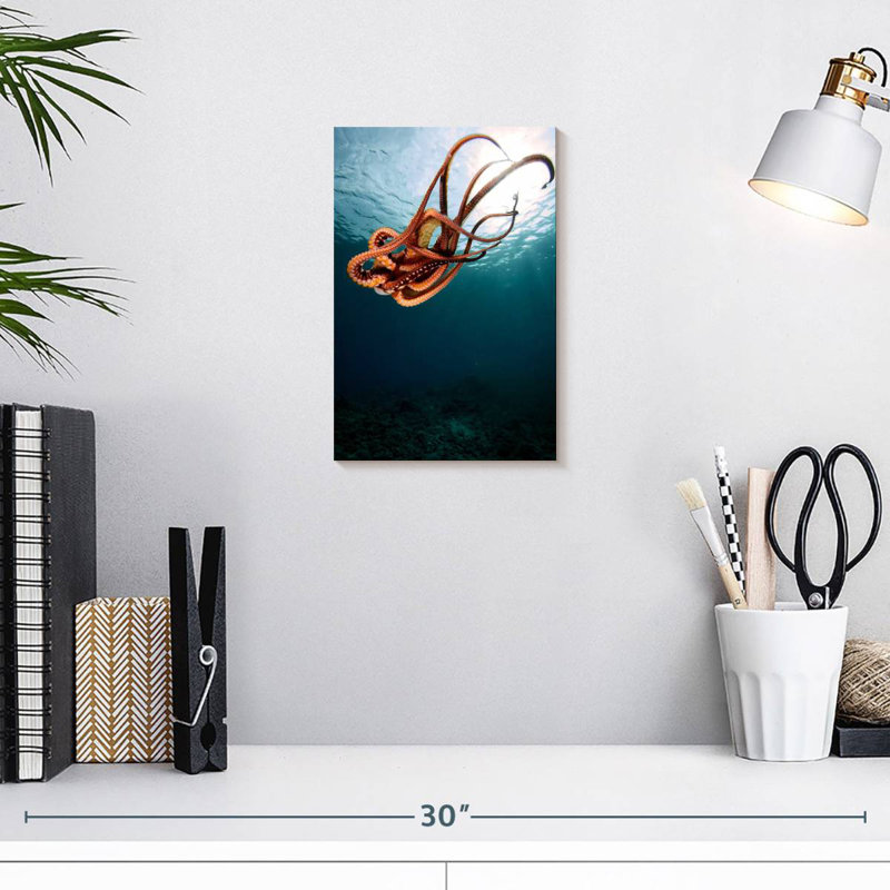 Brampt Diving Octopus, 12" H x 8" W