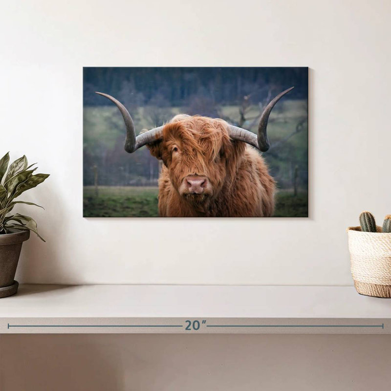 Brampt Wooly Highland Cow, H 8 po x l 12 po