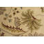 Tapis oriental crème 8X11