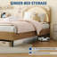 Lit plateforme simple TG avec tête de lit ajustable et lumières DEL, conception tapissée d'ours, brun-1995431013-1995431015