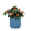 Ensemble de 3 pots de fleurs en céramique, pot de fleurs moderne pour patio, jardin, rebord de fenêtre-875239637