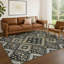 Tapis d'intérieur / extérieur lavable à la machine Chantille ACN2459-740435963-740435964