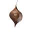 Conch 1 - Light Pendant-664654122-664654124