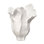 Lily Porcelain Decorative Vase