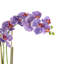 Orchid Floral Arrangement In A Ceramic Pot With Rocks-411627149