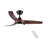 Homedream 42'' Ceiling Fan with LED Lights-1231769035